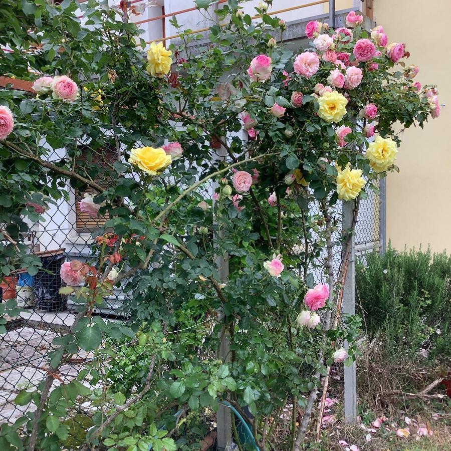 Ai Quattro Soli Privano 외부 사진